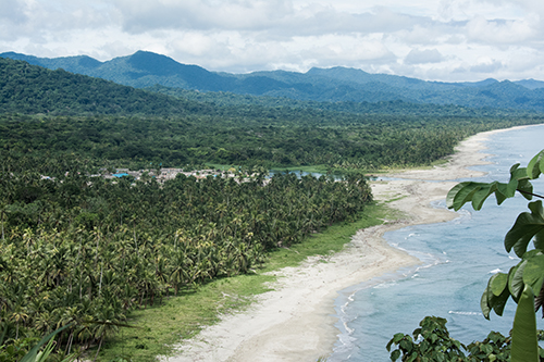 Photo courtesy of Morrison Mast.